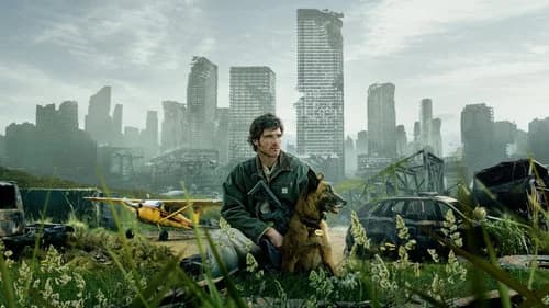 The Dog Stars poster