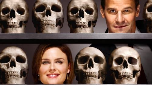 Bones poster