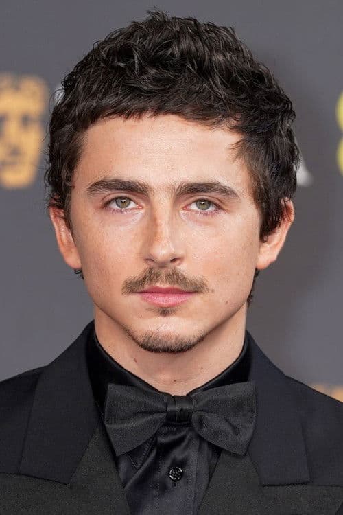 Timothée Chalamet poster