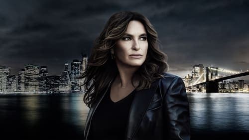 Law & Order: Special Victims Unit poster