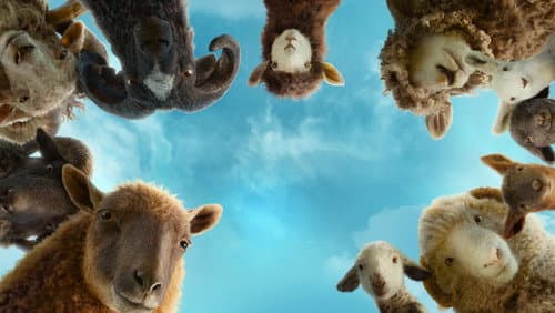 The Sheep Detectives poster