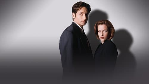The X-Files poster