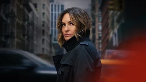 Law & Order: Special Victims Unit poster