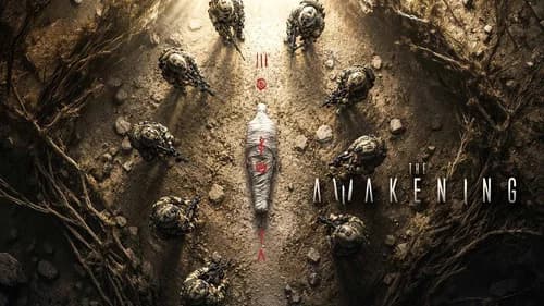 The Awakening poster