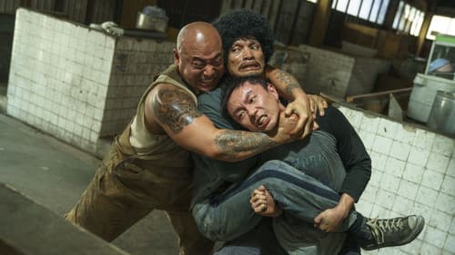 The Furious poster