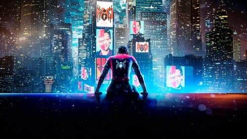 Spider-Man: No Way Home poster