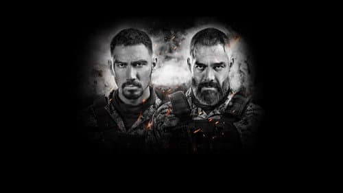 Vengeance poster